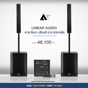 Linear Audio Column 8 FIR Set
