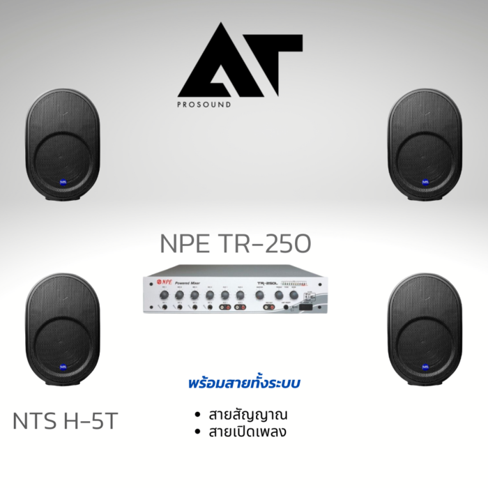 NPE TR-250 & NTS H-5T SETx4-ATProsound